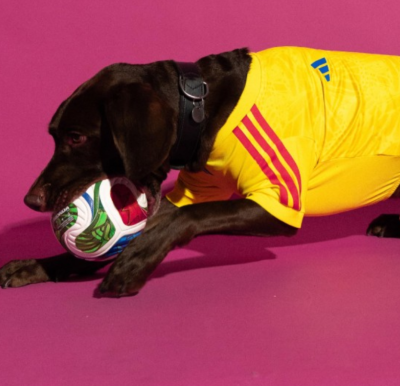 2026/27 Colombia away pet jersey（宠物） product image