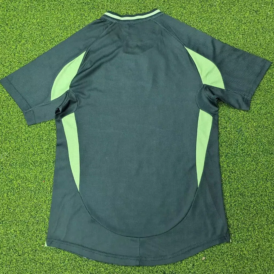 2024/25 Algeria Special Edition Player Version ... detail image