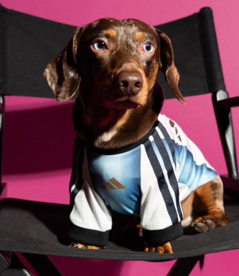 2026/27 Argentina Away pet jersey（宠物） product image