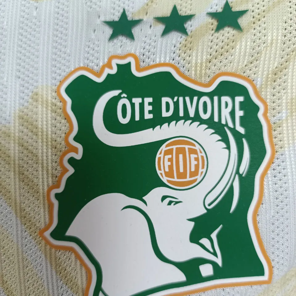 2025 Ivory Coast Away White Player Version Jersey detail image
