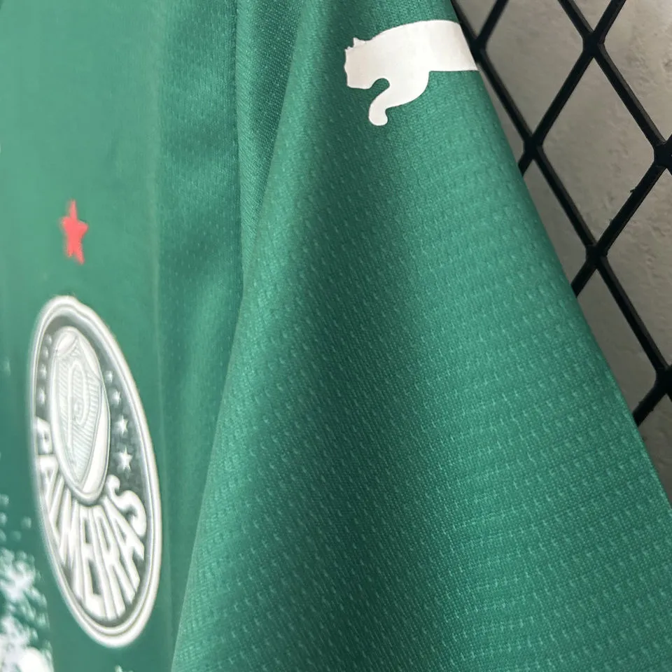 2024/25 Palmeiras Special Edition Green White Fans Soccer Jersey