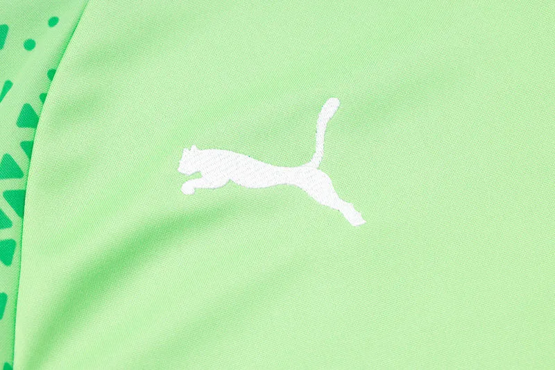2025 Palmeiras Green Sweater Tracksuit