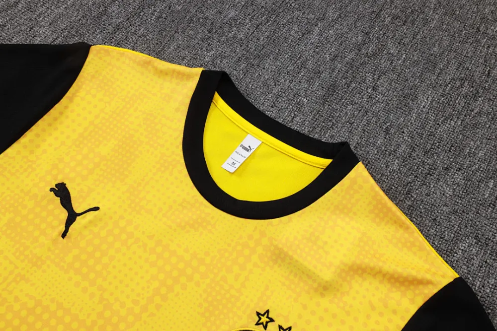 2026 BVB Yellow Training Jersey(A Set)