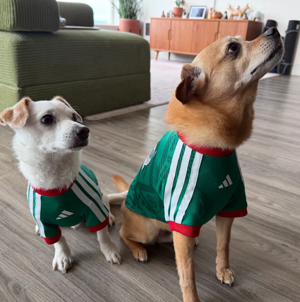 2026/27 Mexico home pet jersey（宠物）