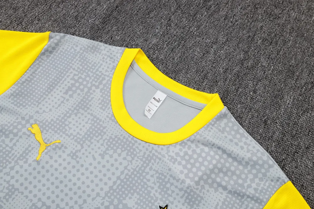 2026 BVB Grey Yellow Training Jersey(A Set)