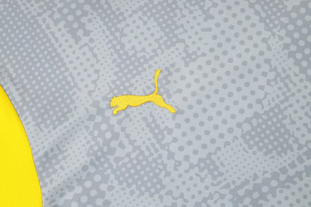 2026 BVB Grey Yellow Training Jersey(A Set)