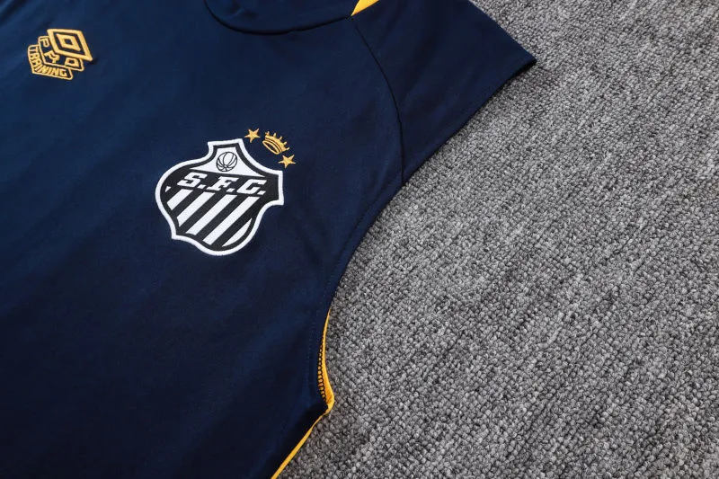 2025/26 Santos Dark Blue Vest Training Jersey(A Set)
