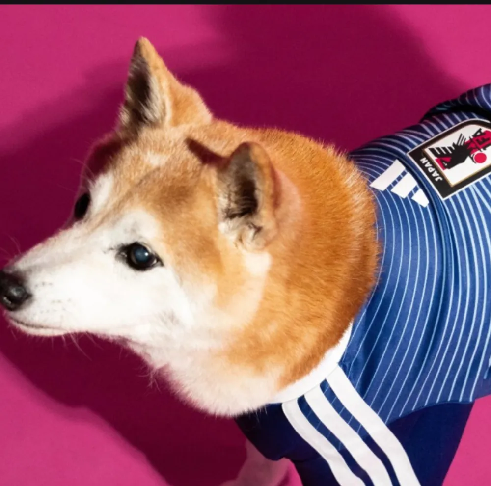 2026/27 Japan Home Blue pet jersey（宠物）