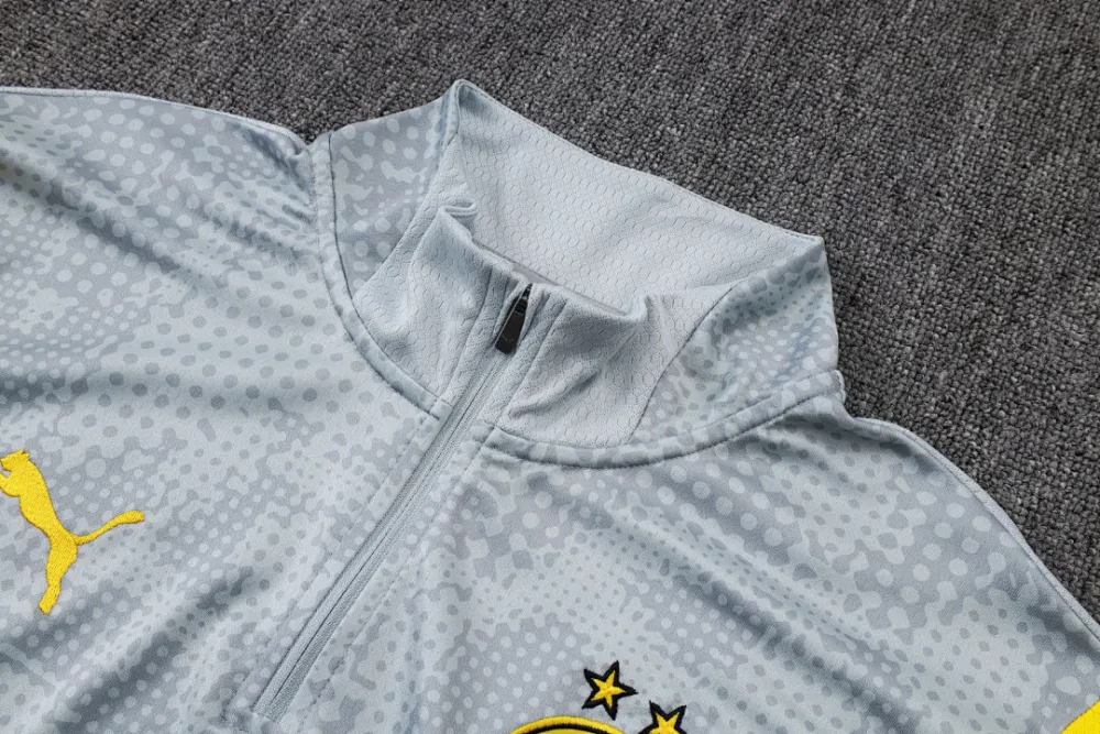2026/27 BVB Light Gray Sweater Tracksuit