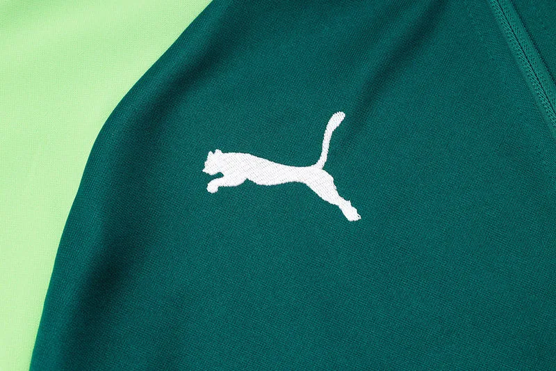 2025 Palmeiras Dark Green Jacket Tracksuit