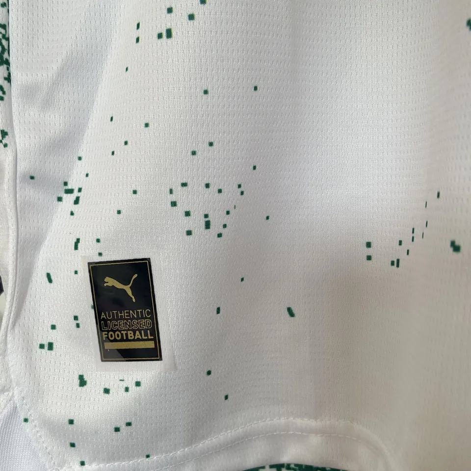 2024/25 Palmeiras Special Edition Green White Fans Soccer Jersey