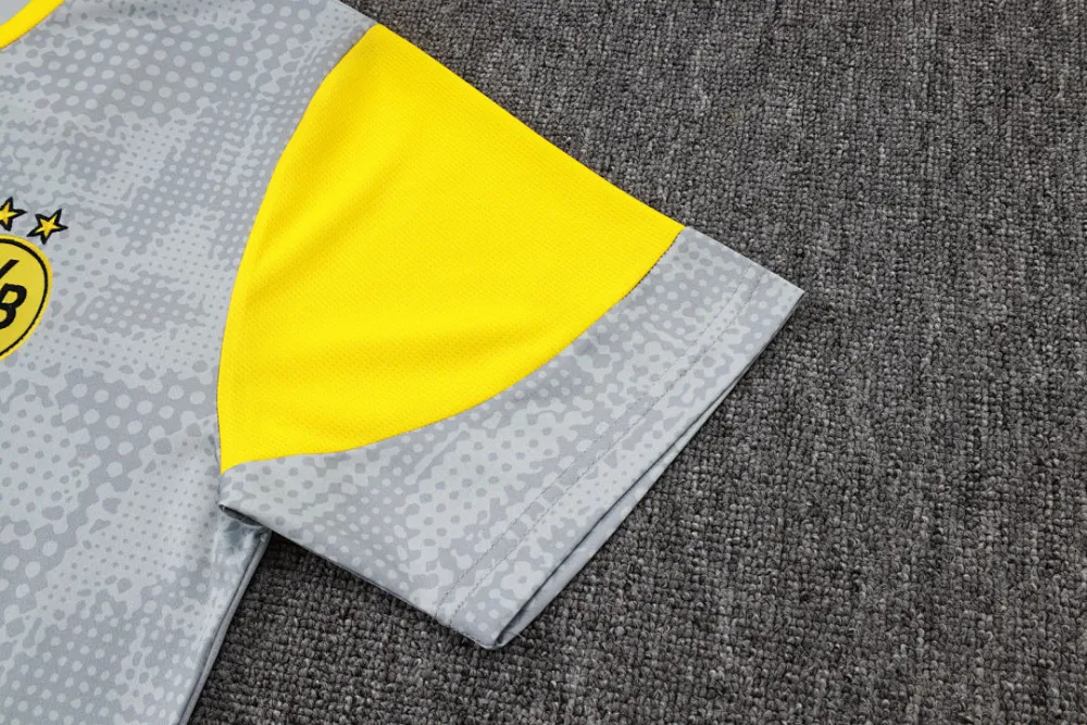 2026 BVB Grey Yellow Training Jersey(A Set)