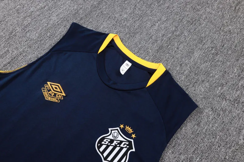 2025/26 Santos Dark Blue Vest Training Jersey(A Set)