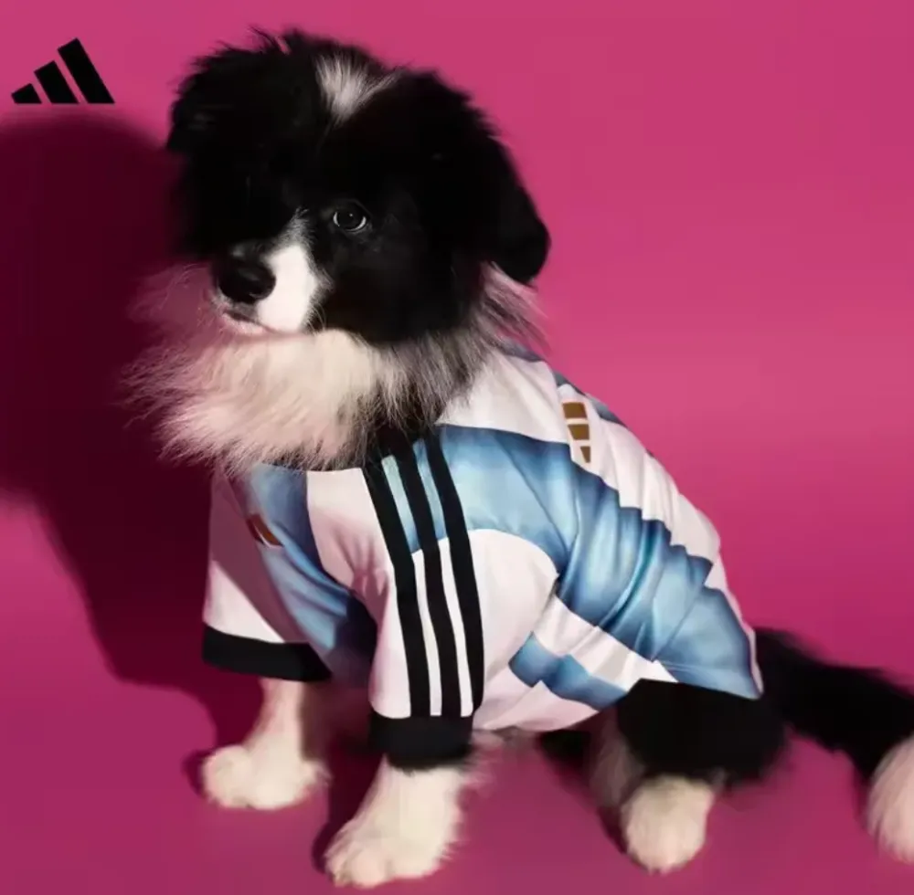2026/27 Argentina Home  pet jersey （宠物）