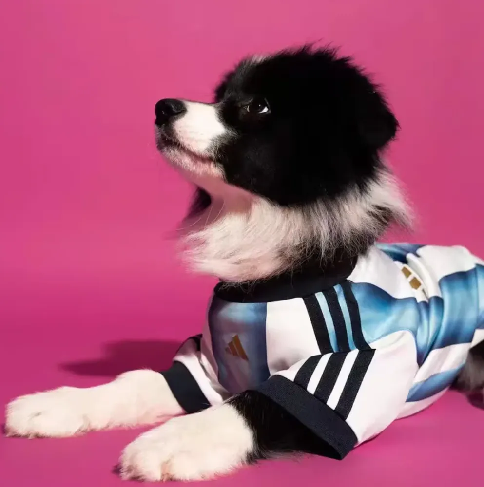 2026/27 Argentina Home  pet jersey （宠物）