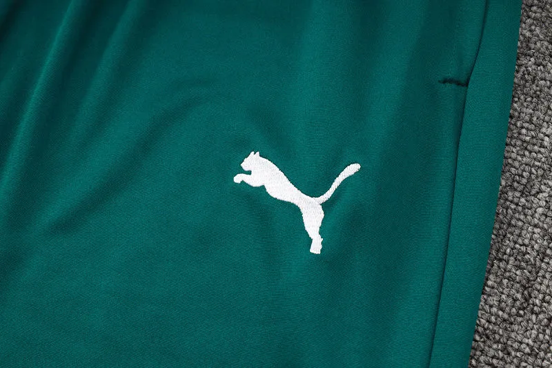 2025 Palmeiras Dark Green Jacket Tracksuit
