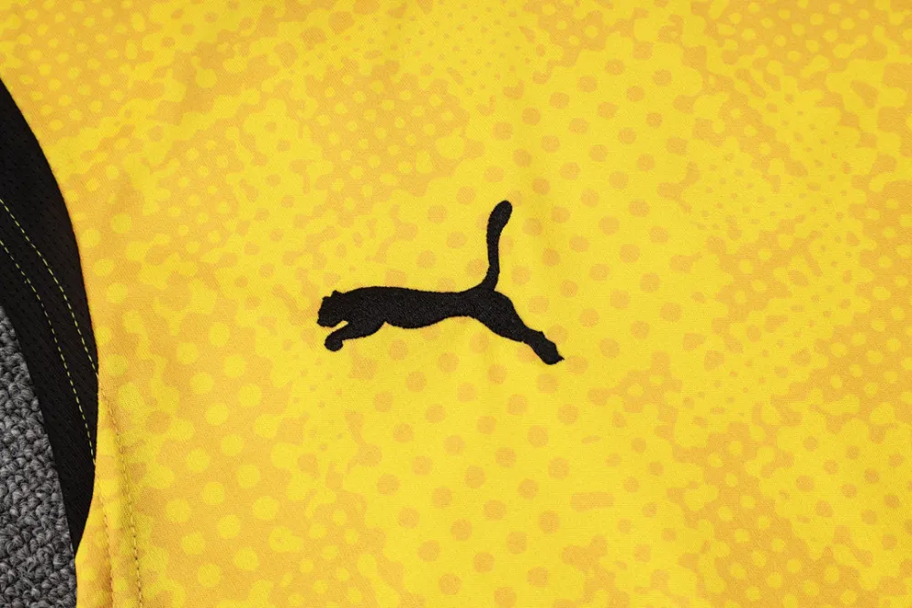 2026 BVB Yellow Vest Training Jersey (A Set)