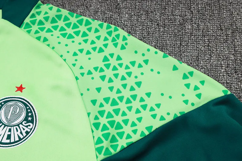 2025 Palmeiras Green Sweater Tracksuit