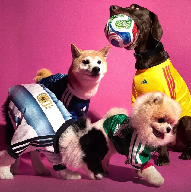 2026/27 Mexico home pet jersey（宠物）