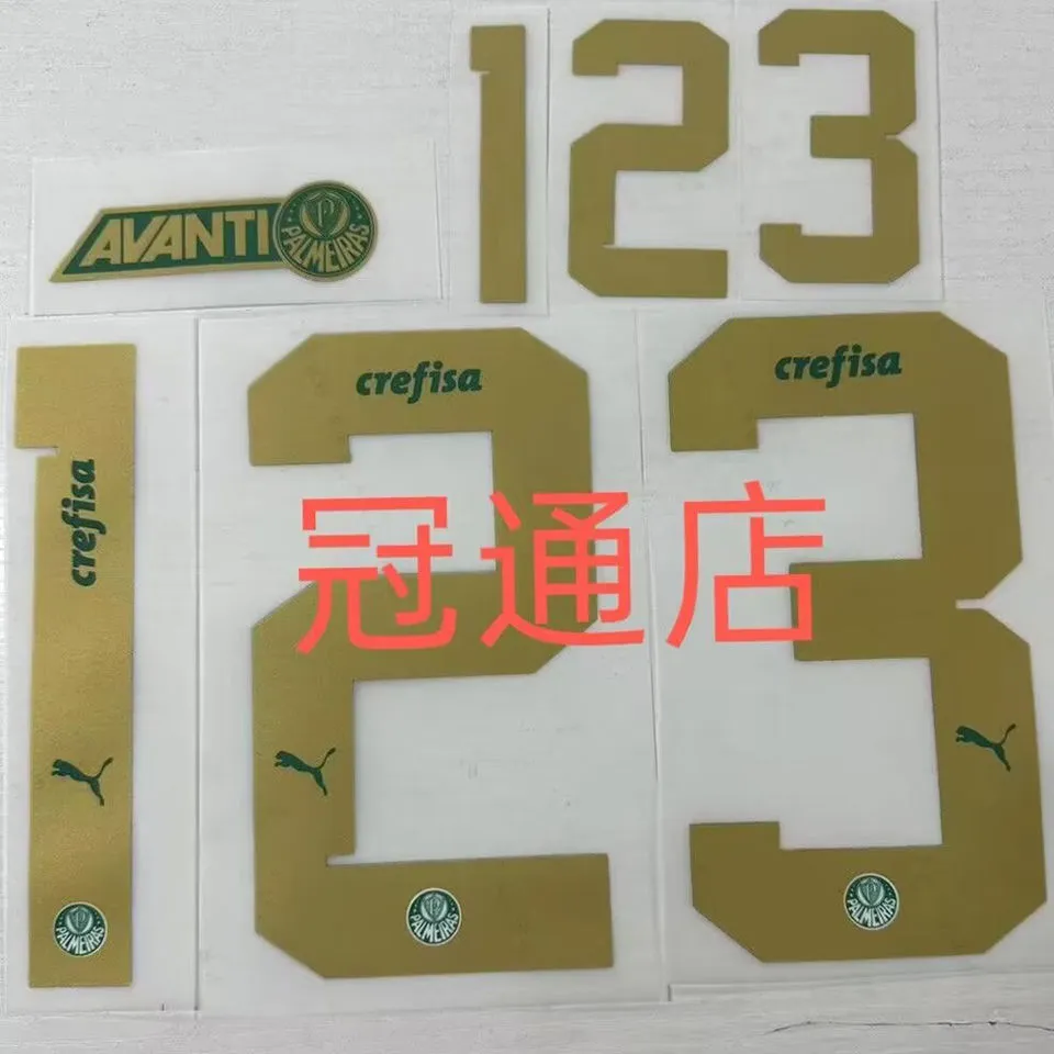 2024/25 Palmeiras Special Edition Green White Fans Soccer Jersey