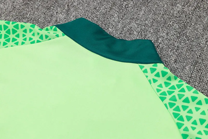 2025 Palmeiras Green Sweater Tracksuit