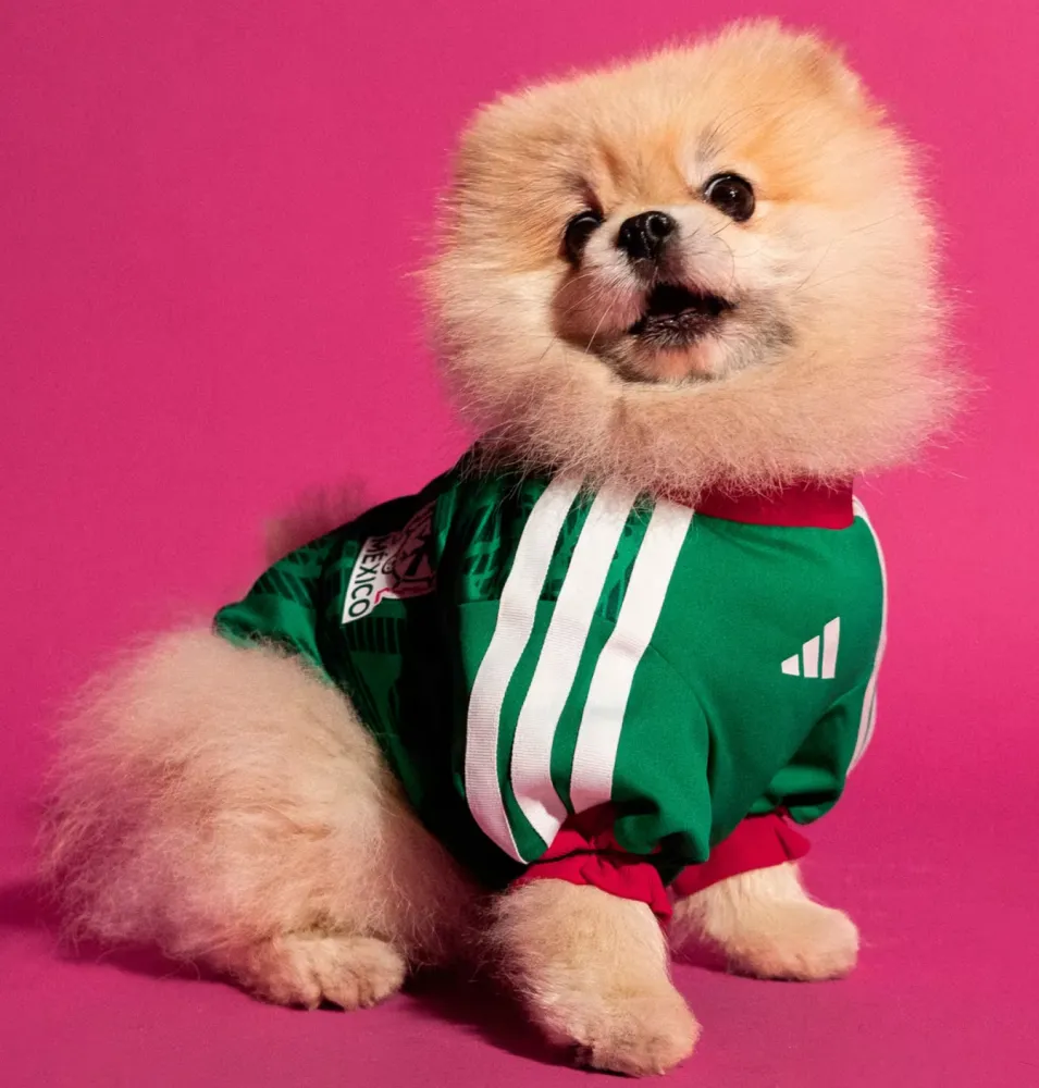 2026/27 Mexico home pet jersey（宠物）