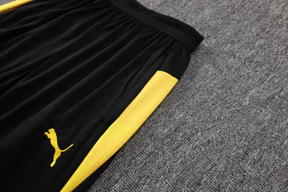 2026/27 BVB Light Gray Sweater Tracksuit