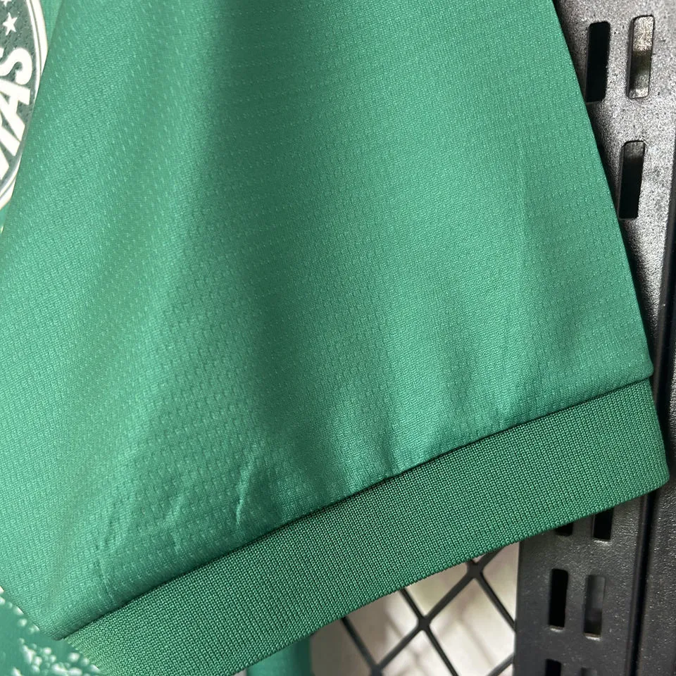 2024/25 Palmeiras Special Edition Green White Fans Soccer Jersey