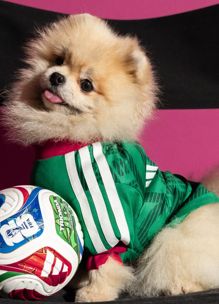 2026/27 Mexico home pet jersey（宠物）