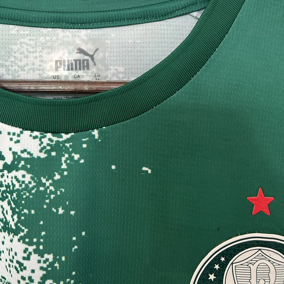 2024/25 Palmeiras Special Edition Green White Fans Soccer Jersey